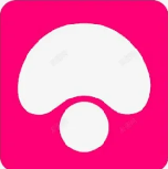 蘑菇视频官方导航与使用指南网