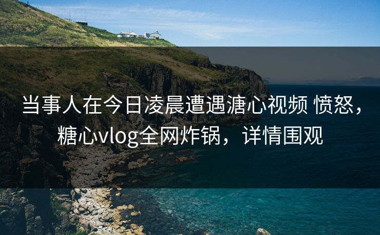 当事人在今日凌晨遭遇溏心视频 愤怒，糖心vlog全网炸锅，详情围观
