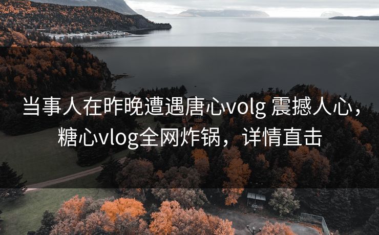 当事人在昨晚遭遇唐心volg 震撼人心，糖心vlog全网炸锅，详情直击  第1张