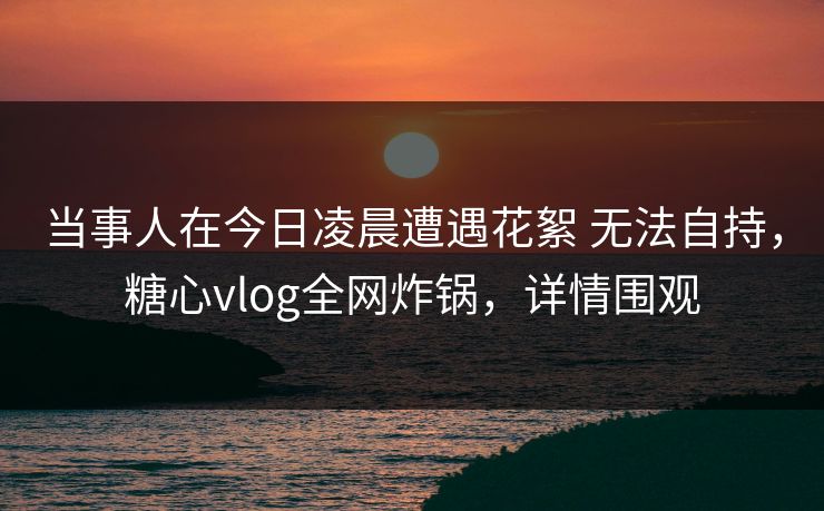 当事人在今日凌晨遭遇花絮 无法自持，糖心vlog全网炸锅，详情围观