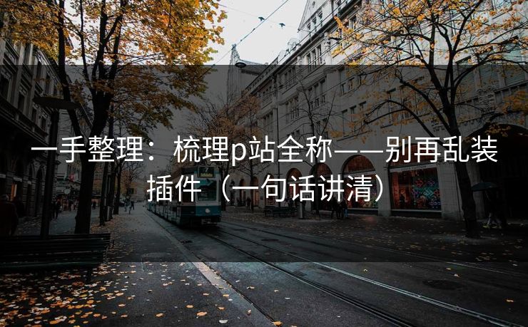 一手整理：梳理p站全称——别再乱装插件（一句话讲清）